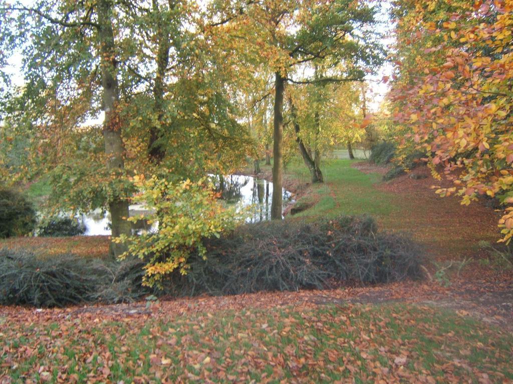 Coolanowle Self Catering Holiday Accommodation Карлоу Екстер'єр фото
